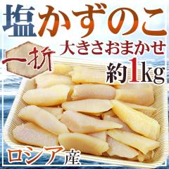 ���V�A�Y �h�����̎q�h ������Ɩ󂠂� ��1kg �傫�����܂��� �������􂩂��̂��I�y�\�� 11�����{�ȍ~�z ��������