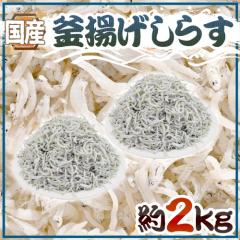 Y hg炷h 2kg ߂񂶂Ⴑ 