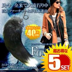 tHbNXe[DX  40cm S 嗬s t@[ K Lcl   L[z_[ t@bV }Xg  j FOXTAIL ́y5Z