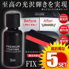 5�Z�b�g �t�B�b�N�X�}�b�N�X2 �ԃR�[�e�B���O�� �t�̃Z���~�b�N�R�[�g 30ml ���� �P�� �K���X�d���� �K���X�R�[�e�B���O �X�|���W�t ��