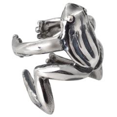 �C���[�J�t �J�G�� �V���o�[925 �A�N�Z�T���[ pi0553 �^ �C���J�t �Ў��p����