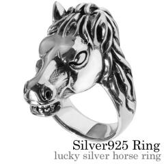 ���b�L�[�V���o�[�z�[�X�����O �����Y �w�� �����Y �V���o�[925 �A�N�Z�T���[ �� Binich 20�� 30�� 40�� 50�� �v���[���g �j���p �A�N�Z