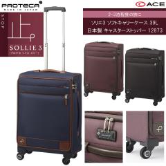 �y2-3���Ή��z �G�[�X �v���e�J ACE PROTECA �\���G3 �L�����[�P�[�X 39L �L���X�^�[�X�g�b�p�[ 12873 ���{�� ( �\�t�g�L�����[ �W�b�p�[