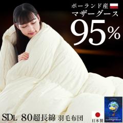 Hѕzc }U[O[X  Z~_u 440dpȏ |[hY O[X _E95 v~AS[h 80ȃTe ̃Lg {