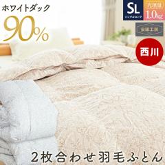 y`12/1510OFFN[|Ώہz 2킹Hѕzc VO Y I[V[Y zCg_E90 1.0kg | | H