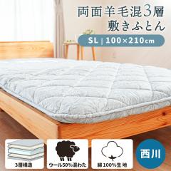 yĒlIz ~zc VO O rэOwŖȓ ~zc @ tX E[ 100%n _}XN 100~21