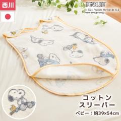 y`12/1510OFFN[|Ώہz xr[ Ȗѕz X[p[ Xk[s[ { Rbg 100  ~ N 􂦂 oY