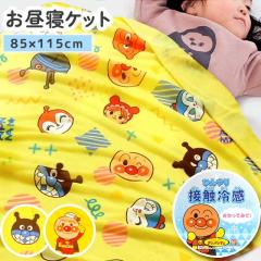 Ap} Q Ђ ڐG⊴ Pbg   N[Pbg Pi ⊴ ėp Ђ ۈ牀 85~115 qǂ LbY xr[ L