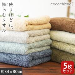 �y5���Z�b�g�z�^�I�� �t�F�C�X�^�I�� �X�C�b�`�p�C�� �ÔQ�莅�g�p ���z�����g�p ���� �R�� �h�L 34�~80 ������ �R�R�`�G�i2 