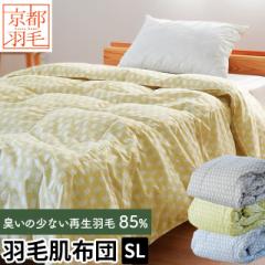 y1,300~lIzsH H | 150~210 _EPbg VO O _E85 0.3kg TCN_E ĐH ې 