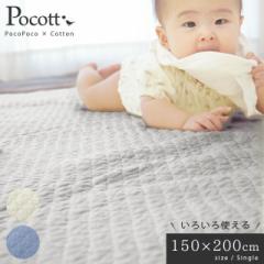 y658~lIzėp |zc xr[ LgPbg  􂦂 100 150~200 Ԃ oYj qǂ O[x[W AC{[