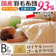 Hѕzc xr[ { 95~120cm CS[hx |[hY zCg_E 93% Ԃ xr[zc