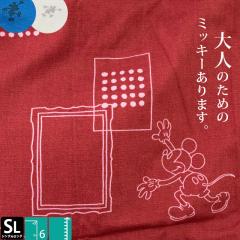 fBYj[ |zcJo[ l~bL[ VOO 150~210cm  VGbg rO lCr[ zCg bh 100  