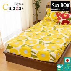 BOXV[c J_X Vr sybilla VO 100~200~40cm zcJo[ { 100 V[c Jo[ xbh}bgXJo[