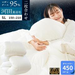 Hѕzc VO ō 2킹 ͓ctFU[ nK[Y zCg}U[O[X _E95 v~AS[h Y 2g