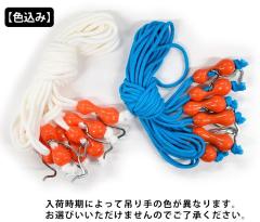 �ᒠ�݂̒��i6�{�g�j�y�F���݁z