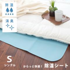 �����V�[�g �V���O�� 90�~180 �V���J�Q������ �ȒP�~�������I ���� �z�c �����}�b�g ���C��� �����V�[�c ���I�h�~ �J�r�΍� 2025y5