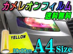 JItB (A4)  y[ z 30cm~20cm A4TCY CG[ J[tB YtB X[N e[ 