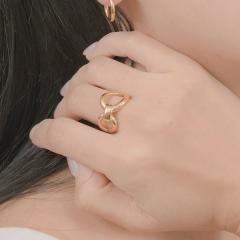 �w�� �����O ���f�B�[�X �����A�����M�[�Ή� �����ςȂ�OK �X�e�����X �T�[�W�J�� 316L �K�тɂ��� �m�b�g ���і� �J�W���A�� ���^�� 