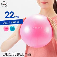 �~�j �o�����X�{�[�� �G�N�T�T�C�Y�{�[�� 22cm ������ �̊� �o�����X �g���[�j���O tone �g�[�� ���K�{�[�� �t�B�b�g�l�X�_�C�G�b�g �X�g