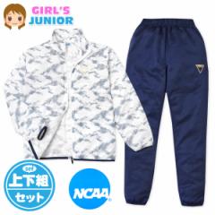 yz WjA NCAA g[jOX[c  ㉺g W[W gbvXbV td-0485b-nvy[֑Ήz