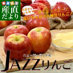 j[W[hY JAZZ(i:TCtbV) 2.6L(12ʂ13ʓ)  S ь WY N[ sꔭ