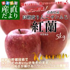 �X�����Y�n���� �}���W���E�T���A�b�v�� ���x14�x�ȏ� �T���ӂ� �u�g���i�������j�v MCA�����i ��5�L�� (16�ʂ���20��) ���������y