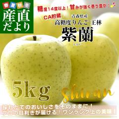 �X�����Y�n���� �}���W���E�T���A�b�v�� ���x14�x�ȏ� ���� �u�����i�����j�v CA�����i ��5�L�� (16�ʂ���20��) ���������y������