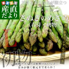 ���쌧���Y�n���� JA���쌧 �����A�X�p�� ���ʂ��̂߂��� (�t��E����) L�T�C�Y ��700g (25����40�{�O��) ��������  �ۋT�s�� �A�X�p��