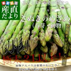 ���쌧���Y�n���� JA���쌧 �����A�X�p�� ���ʂ��̂߂��� (�t��E����) 2L�T�C�Y�ȏ� ��700g (14����25�{�O��) �������� �ۋT�s�� �A�X