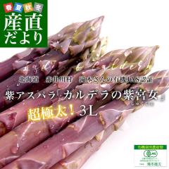 �k�C�����Y�n���� �Ԉ�쑺��{�_��̗L�@JAS�@���A�X�p���u �J���f���̎��{���v 3L�T�C�Y�@��500g���� �������� �A�X�p���K�X ���N�[