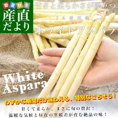 ���쌧���Y�n���� JA���쌧 �z���C�g�A�X�p�� 2L����M�T�C�Y ��700g (16�{����36�{�O��) ��������  �ۋT�s�� �A�X�p���K�X�y���������F