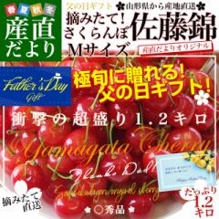 �y���̓��M�t�g�z �R�`�����Y�n�����I �������� ������ ���G�i ��{�����[��1.2�L�� L�T�C�Y�i300g�~4�p�b�N�j �������� �N�[���ց@