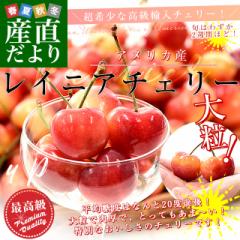 AJY 嗱 CjA`F[ 9.5R10RTCY 800g(200g~4p)   AJ`F[ [jA