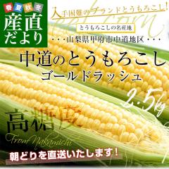 �R�������Y�n�����@JA�ӂ��ӂ������k�x���@�Ƃ����낱��(�S�[���h���b�V��) ��2.5�L��2L�T�C�Y(6�{��)�@���������@�N�[���ցy��������