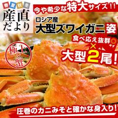 kC蒼 YCKjp ^TCY 1.5Li2j YC Jj  I Mtg Jj݂yFJ[g