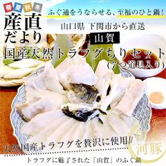 �R�������֎s����Y�n���� �R�� �g���t�O�����Z�b�g�i7�������j ���Y�V�R�g���t�O����(��400g) �������� �ӂ� ���N�[���Ⓚ�� �y��