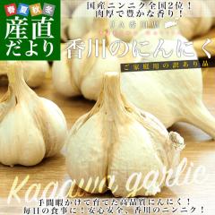 쌧Yn JA쌧 jjN ƒp 2L (ڈƂ50ʑO)  ɂɂ f  ] ʂ