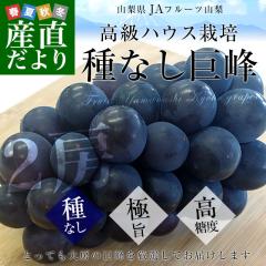 RYn JAt[cR Ȃ Gi [2[艻ϔ (550g~2[)   Ԃǂ Mtg ăMtg  