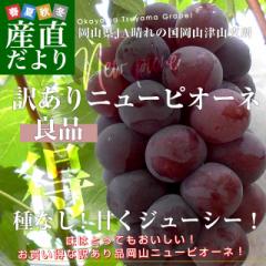 RYn JA̍R ÎRx 󂠂Ǖi j[sI[l 2Li4[5[j uhE Ԃǂ N[