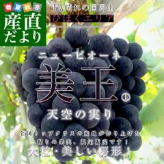 RY JA̍R тقGA j[sI[l V̎u(R)v1.2L(2[)  uhE  ȂԂǂ  N