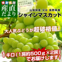 R  쌧Y VC}XJbg 1Li2[j Ԃǂ uhE ȂԂǂ  N[