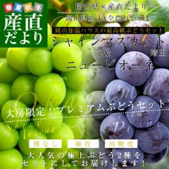 RY@JAS_ nEX͔| VC}XJbgj[sI[lZbg Giȏ [ v1.2L (600gO~2[)@