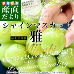 RY JAӂӂx VC}XJbg ŏʓuv1.4L(2[j [ 嗱 Ԃǂ }XJbg Mtg