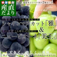 RY VC}XJbguvRY j[sI[lu(R)vv1.3L(VC}XJbg1[700@j[sI[l