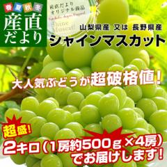 R  쌧Y VC}XJbg@2Li4[j Ԃǂ uhE ȂԂǂ   N[