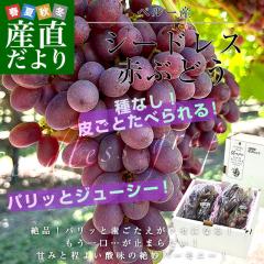 �炲�ƐH�ׂ���I�V�[�h���X�ԂԂǂ� �y���[�Y ��1.2�L���i��600g�~2���j�������� ��Ȃ��Ԃǂ� �A���Ԃǂ� �C�O�Ԃǂ��y���������F�J