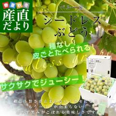 �炲�ƐH�ׂ���I�V�[�h���X�΂Ԃǂ� �y���[�Y ��1.2�L���i��600g�~2���j�������� ��Ȃ��Ԃǂ� �A���Ԃǂ� �C�O�Ԃǂ��y���������F�J