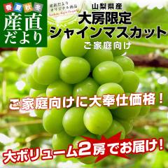 �R�����Y ��[�V���C���}�X�J�b�g ���ƒ�����E�ԏG�i 1.1�L������1.2�L���O��i2�[�j�������� �Ԃǂ� �u�h�E ��Ȃ��Ԃǂ� ���� ���N�[