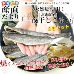 �k�C���Y ��銱�����܂� 2L�T�C�Y ���ϔ� ��500g�i10���O��j�~2���@���v��1kg �������� �X���� �R�}�C ���N�[���Ⓚ�ցy���������F�J�[